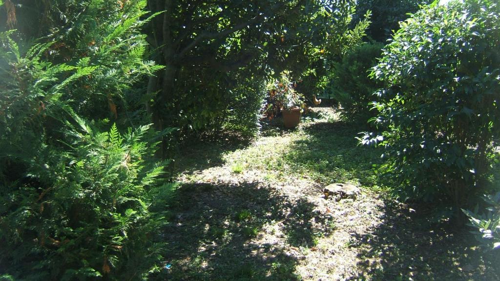 Locanda Canareggio San Biagio di Callalta Exteriör bild